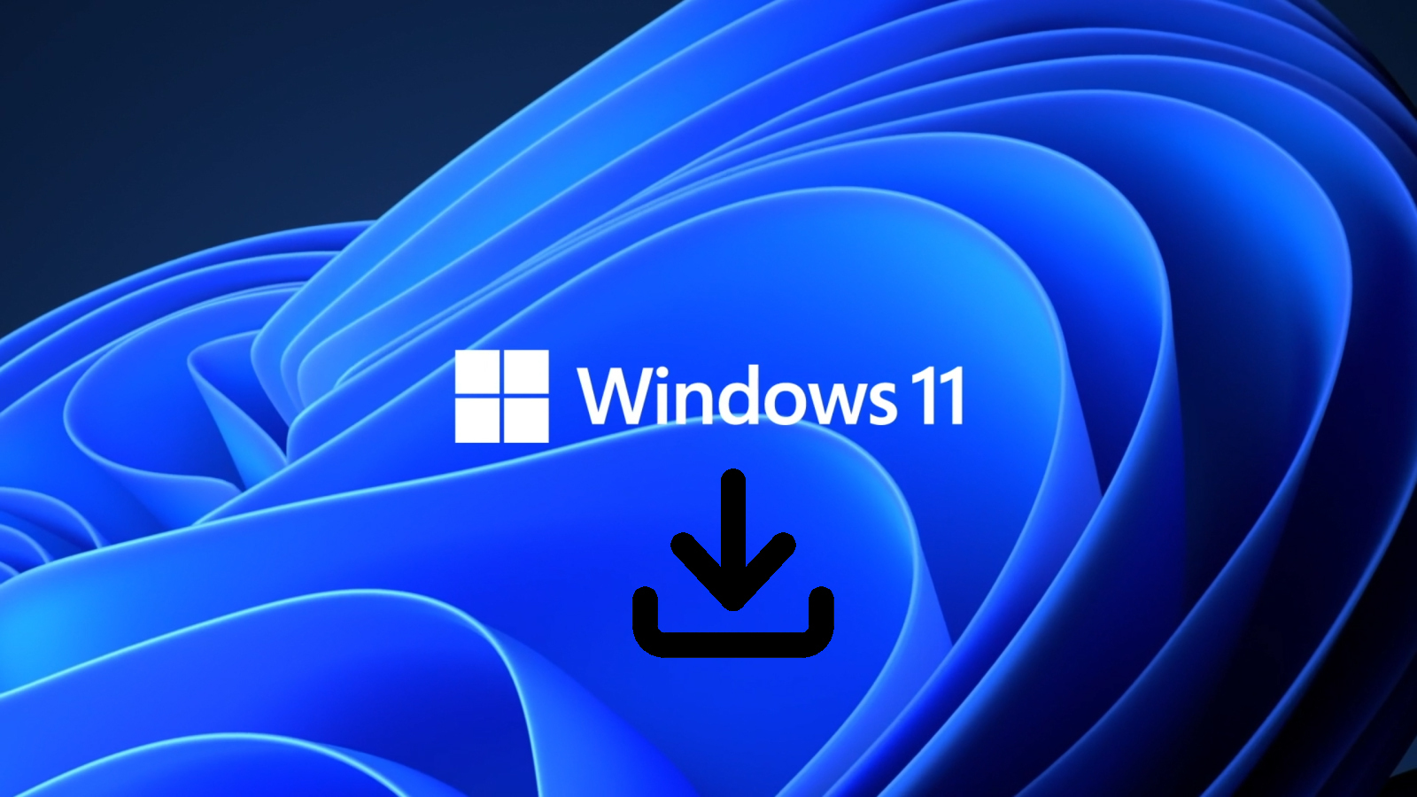 How to return to Windows 10 when Windows 11 preview doesn't work