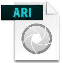 ARI File Extension