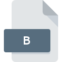 B File Extension