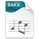 BAKX File Extension