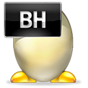 BH File Extension