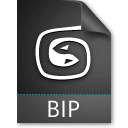 BIP File Extension