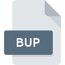 BUP File Extension