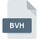 BVH File Extension