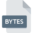 BYTES File Extension