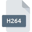 H264 File Extension