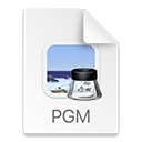 PGM File Extension