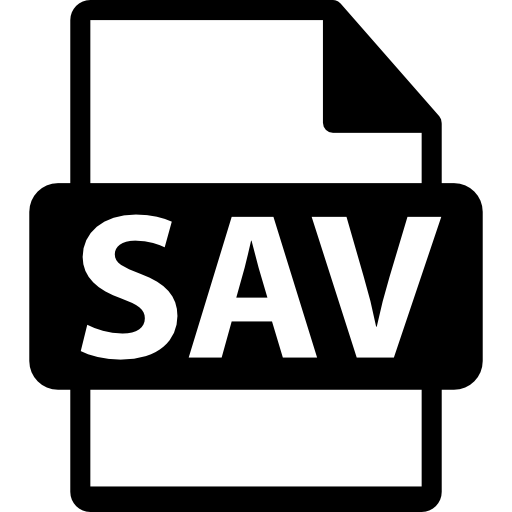 SAV File Extension