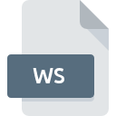 WS File Extension