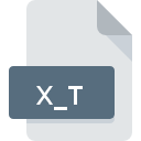 XT File Extension