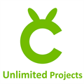Cricut Design Space Unlimited Projects